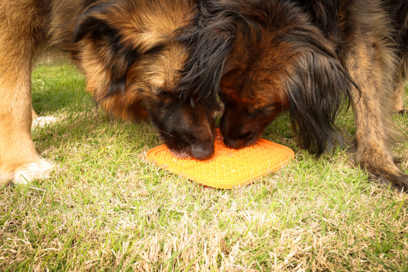 PetZone - Licking Mat Indulge - Imagen 2
