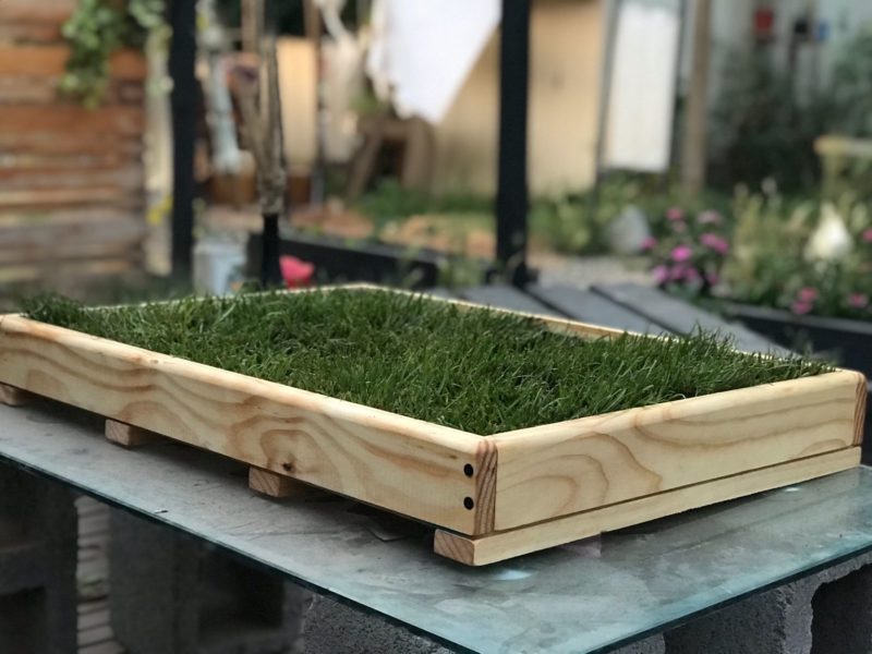 Baño ecológico con Sellado - Imagen 2