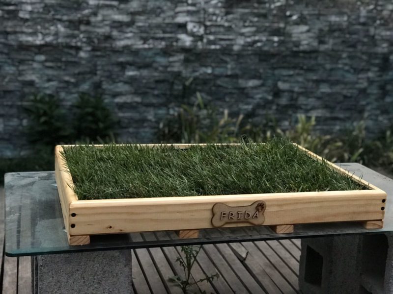 Baño ecológico con Sellado