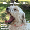 Pack Cuadrille Rojo