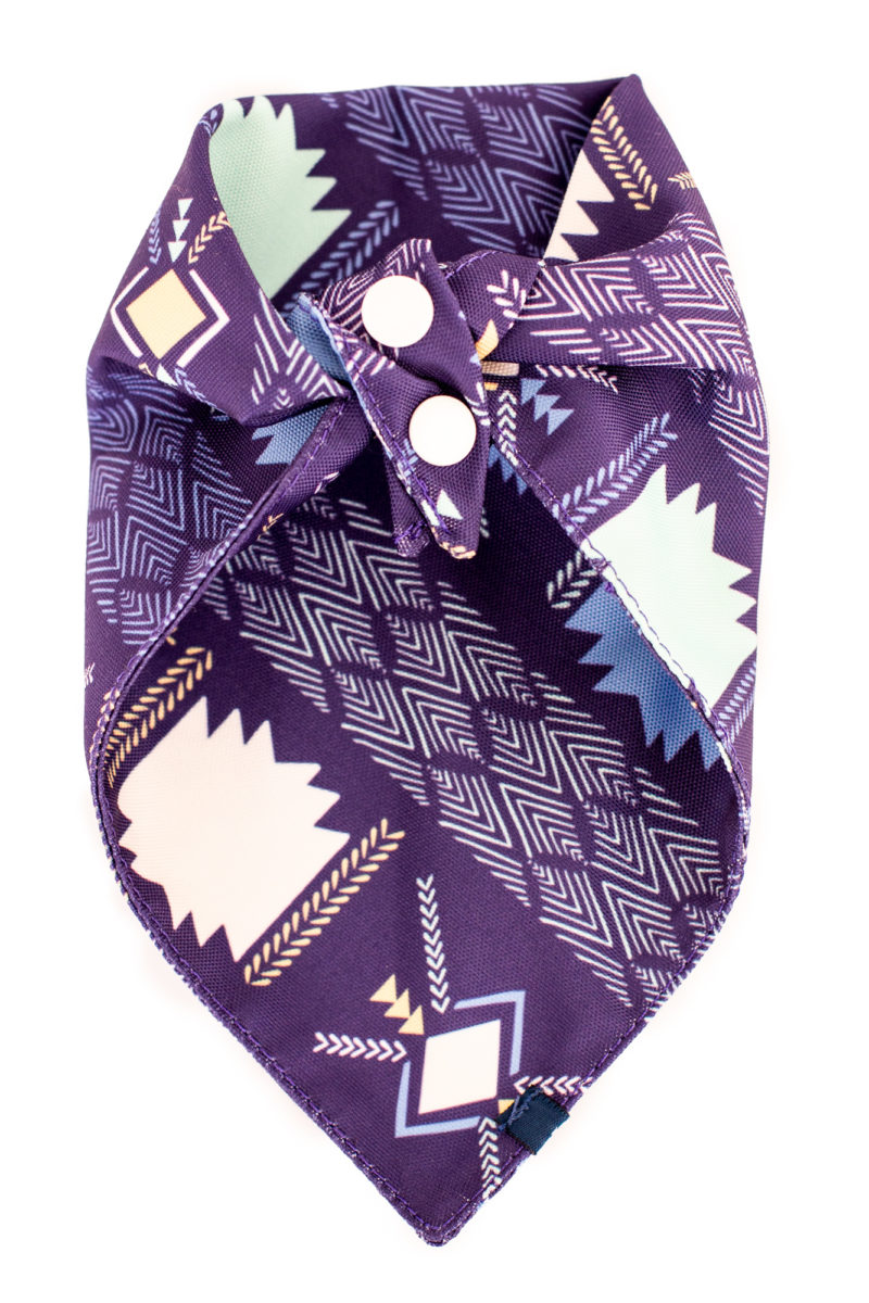 Bandana para perro - Diseño Etnico