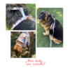 Bandana para perro - Diseño Tropical - Imagen 2